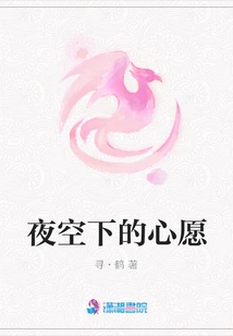 Wish under the Night Sky