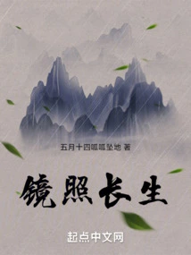 Reflection in the Mirror