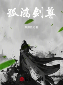 Gu Hong Sword Master