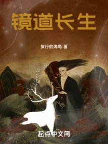 Mirror Road Immortality