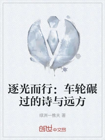 Following the Light: Poetry and the Distance When Wheels Run over It