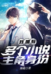 I Have Multiple Protagonist Identities in Novels