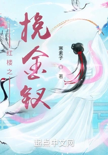 The Golden Hairpin of the Red Mansion