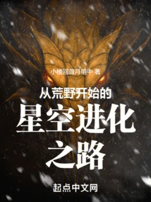 The Road to Starry Sky Evolution Starting from the Wilderness