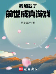 I Loaded the Past Lives Come True Game