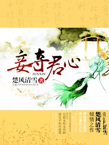 Concubine Wins the King's Heart