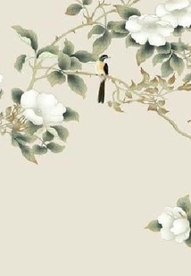 There is a Trace of Xiwei on the Road to Yebi's Heart