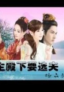 Her Royal Highness the Princess Wants to Choose a Husband