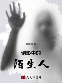 Stranger in Reflection