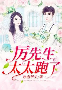 Mr. Li, My Wife Ran Away