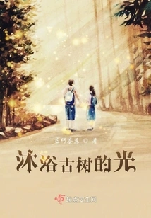 Bathed in the Light of Ancient Trees