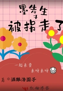 Mr. Mo Was Kidnapped Again