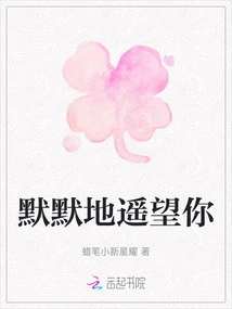 Silently Looking at You from a Distance