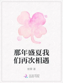 That Summer We Met Again