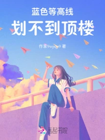 Blue Contour Line, Cannot Draw the Top Floor