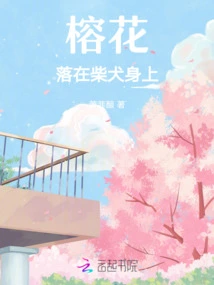 The Banyan Flower Falls on the Shiba Inu