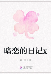 Diary of a Secret Love X