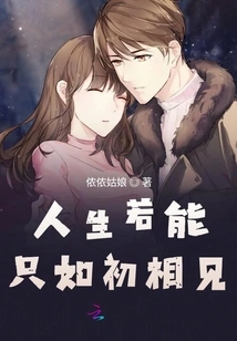 If We Meet Again in Life