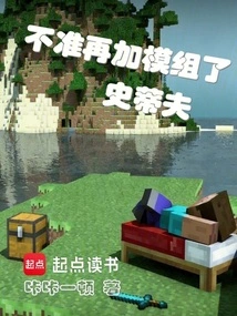 No More Mods Allowed Steve