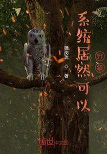 The System Can Actually Be Upgraded