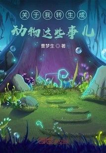 Things About My Reincarnation as an Animal