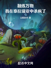 Fusion of All Things, I Went Crazy in Terraria