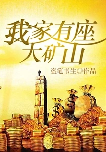 There is a Big Mine in My House