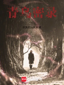 Qingwu Secret Record