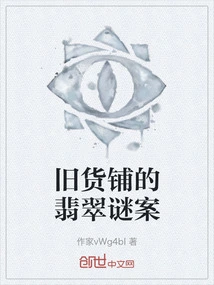 The Jade Mystery in the Junk Shop