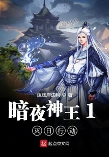 Dark Night God 1: Operation Sun Destruction