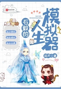 Shi Yi's Life Simulator