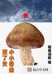 The Little Shiitake Mushroom Goes Against the Grain