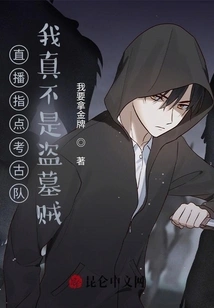 Live Broadcast to Guide the Archaeological Team, I Am Really Not a Tomb Robber