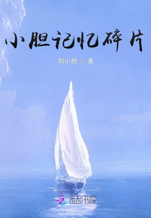 Xiaodian Memory Fragments