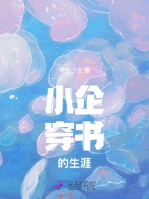 The Career of a Small Business Traveler