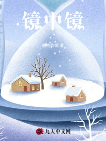 Mirror Within Mirror