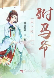 A Prince-in-law Fell from the Sky