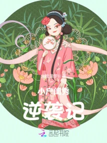 The Counterattack of the Lady of Small Household