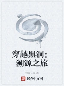 Through a Black Hole: a Journey to the Origin