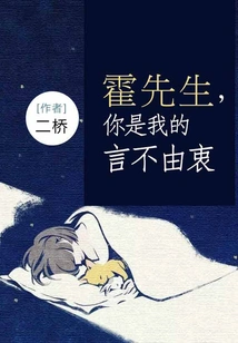 Mr. Huo, You Did Not Mean What I Said