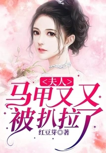 Madam, Your Vest Has Been Ripped Off Again!