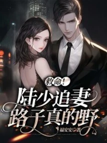 Help! Mr. Lu's Pursuit of His Wife is Really Wild