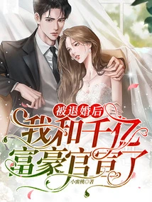 After the Engagement Was Broken Off: I Made it Official with the Billionaire