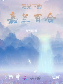 Gloriosa Lily in the Sun