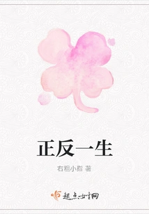 Pros and Cons in Life