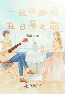 Shall We Run Away Together, Before Sunset?