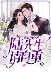 Mr. Lu, Please Respect Yourself