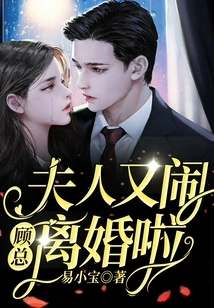 Mr. Gu, My Wife is Getting Divorced Again