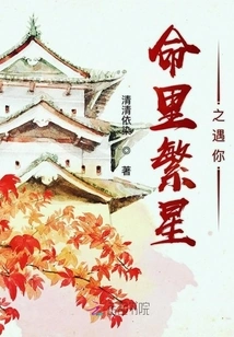 The Stars in My Life Meet You