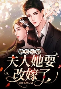 Mr. Qi, Please Don't Be Cruel. Madam, She is Going to Remarry